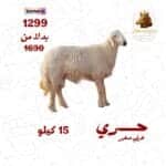 حري هرفي صغير