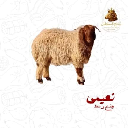 نعيمي جذع وسط